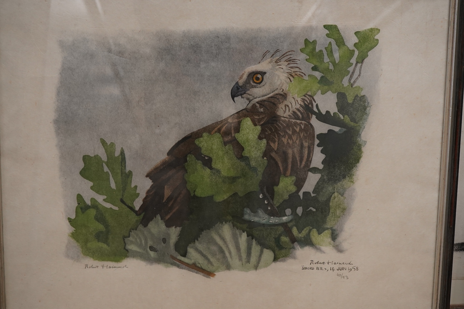Robert Hainard (Swiss, 1906-1999), 'Perce-Neige' and 'Short-eared eagle', each signed in pencil and limited edition, The Tyron Gallery labels verso, pair of woodcuts, largest 38 x 47cm